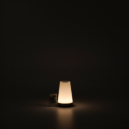 Dimmable Touch Lamp | 5 Brightness Levels | 13 RGB Colors
